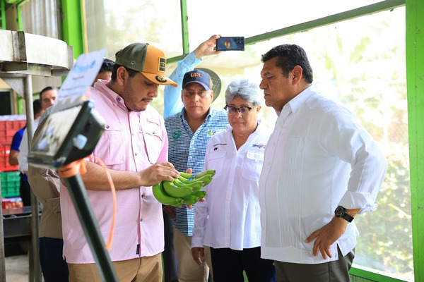 Supervisa Gobernador Javier May instalación del primer Centro Agroecológico de Tabasco en la Finca ‘Las&nbsp;Lilias’