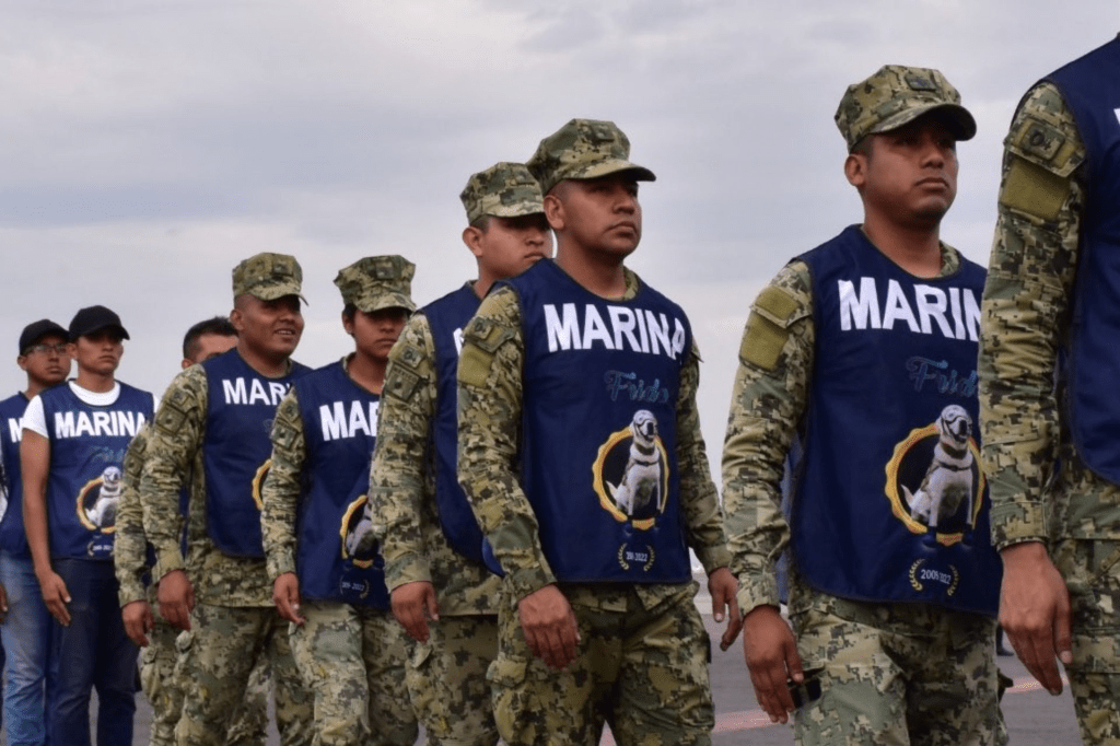 Gobierno despliega a más de 17 mil elementos de Marina y Defensa por&nbsp;“Erick”