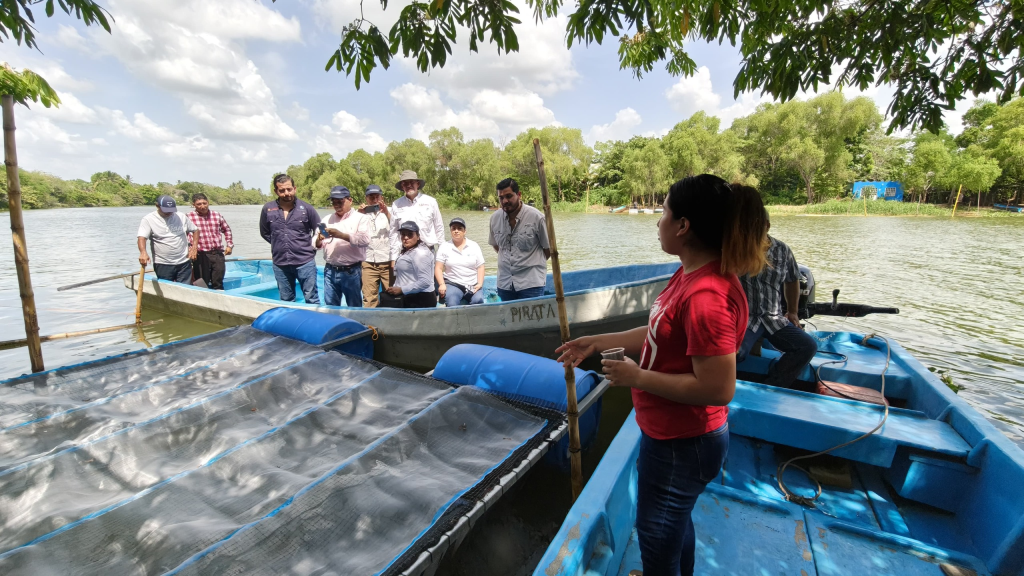 PESCANDO VIDA: Transformando el presente, asegurando el&nbsp;futuro