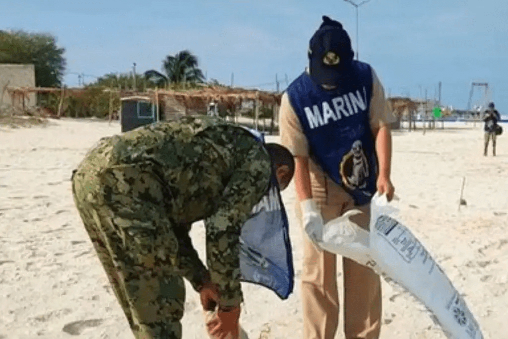 Marina participa en la campaña nacional de limpieza de Playas y Costas en&nbsp;Tabasco