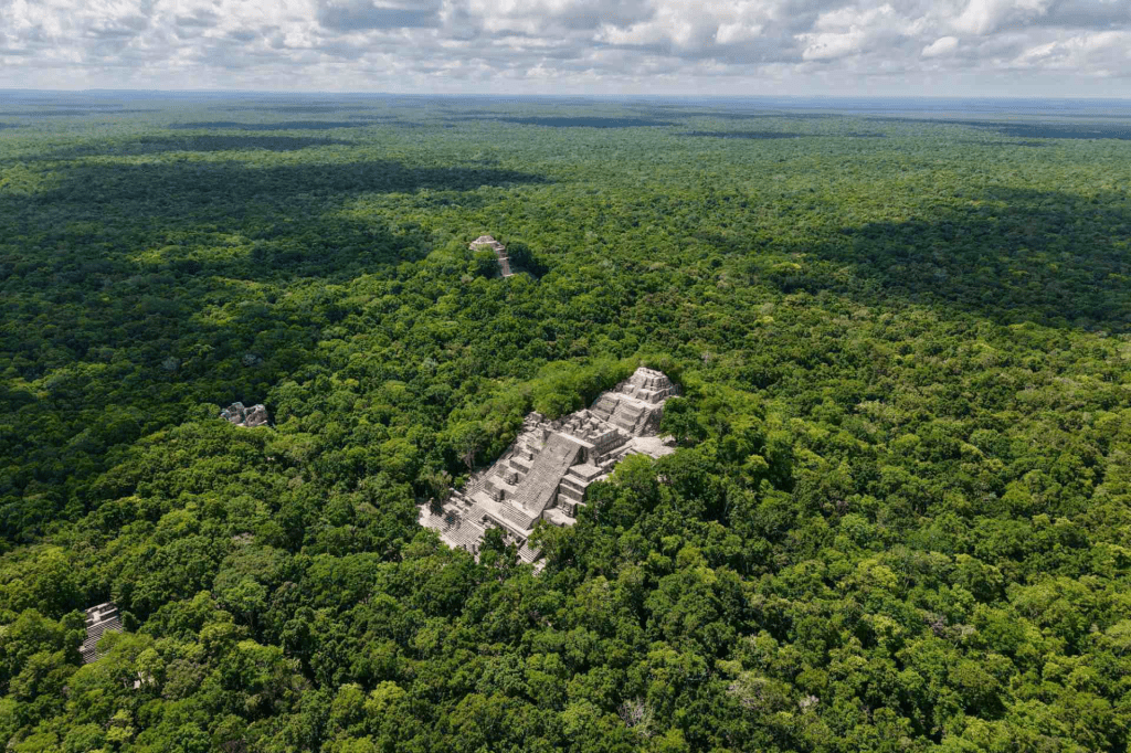 Sheinbaum celebra la firma del acuerdo con Belice y Guatemala para proteger la selva&nbsp;maya