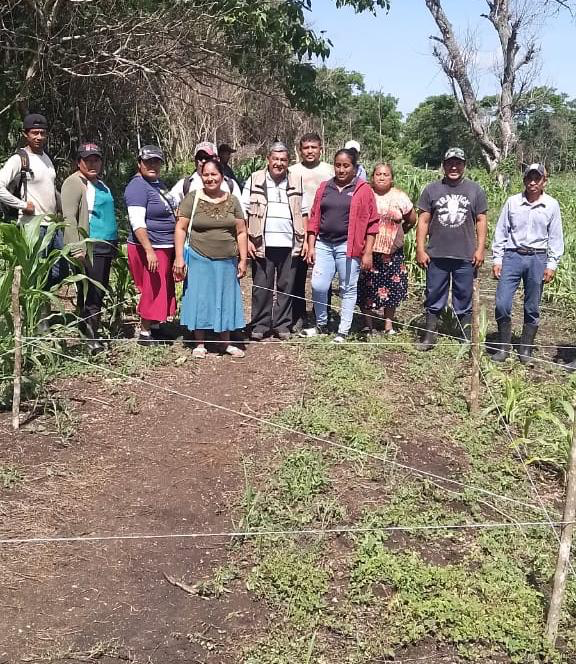 Impulsan productividad agrícola con sistema agroforestal en&nbsp;Tenosique
