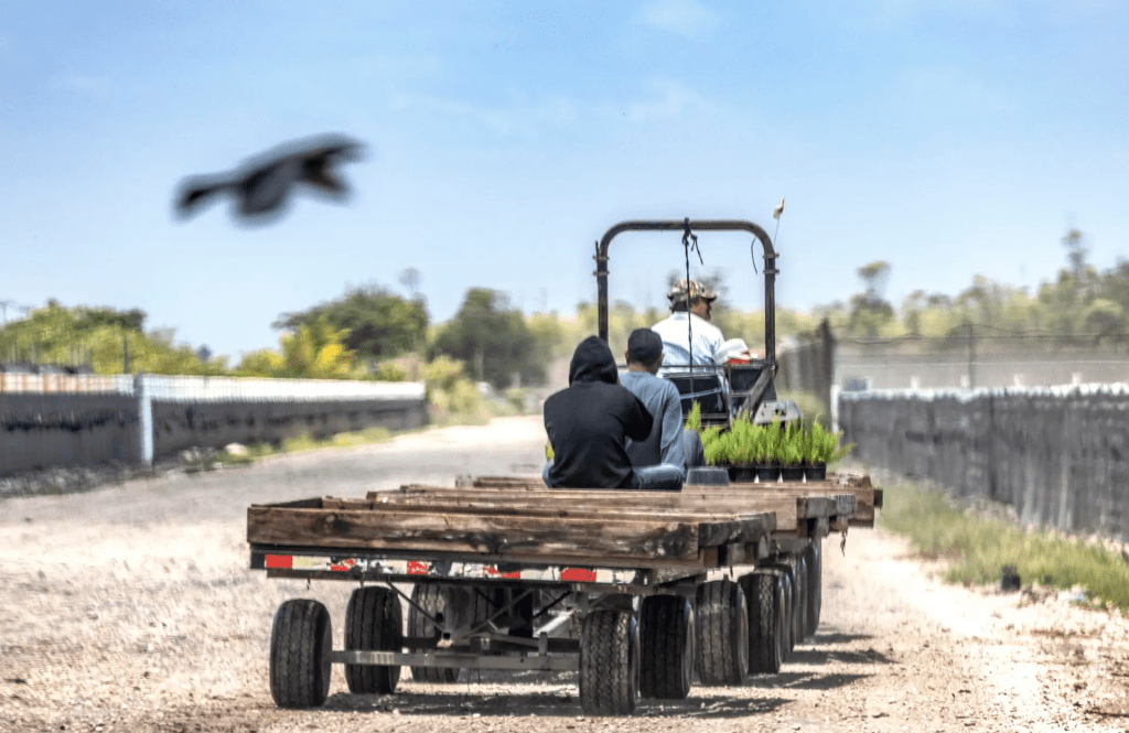 Trump reconoce que los trabajadores migrantes que deporta son difíciles de&nbsp;reemplazar
