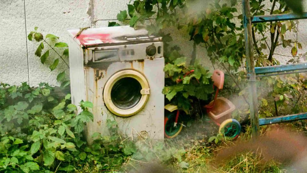 ¿Tienes electrodomésticos viejos? La CFE te ayuda a&nbsp;cambiarlos