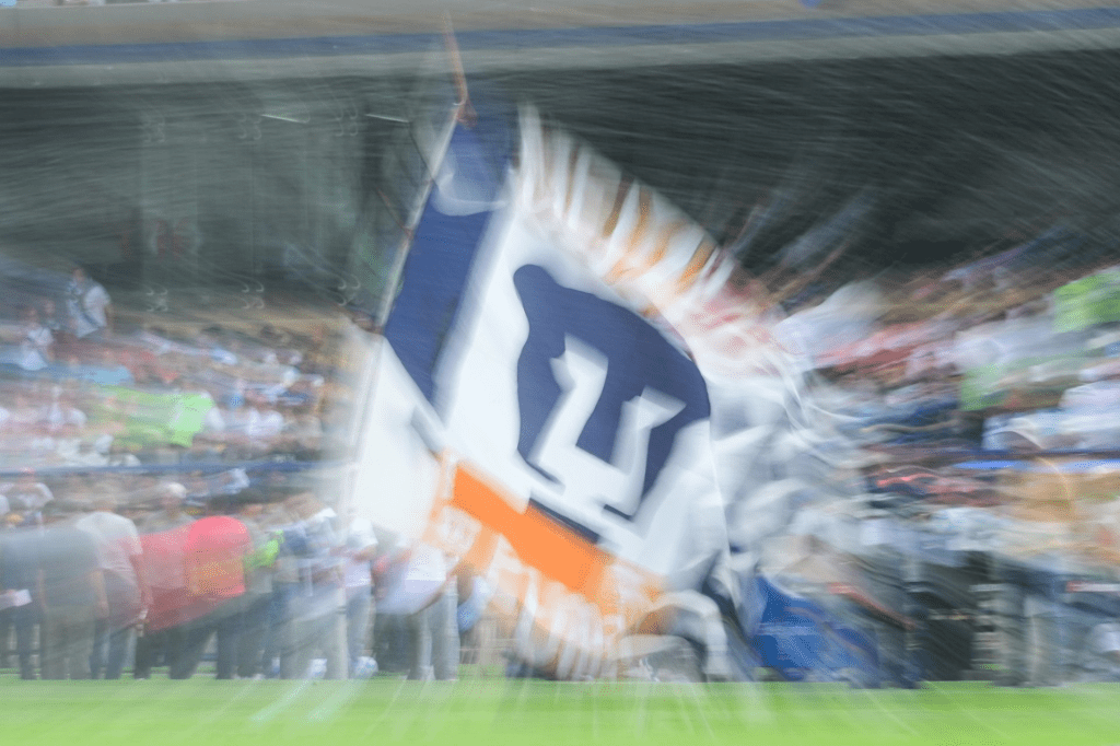 Pumas de la UNAM cumple 71 años de&nbsp;existencia