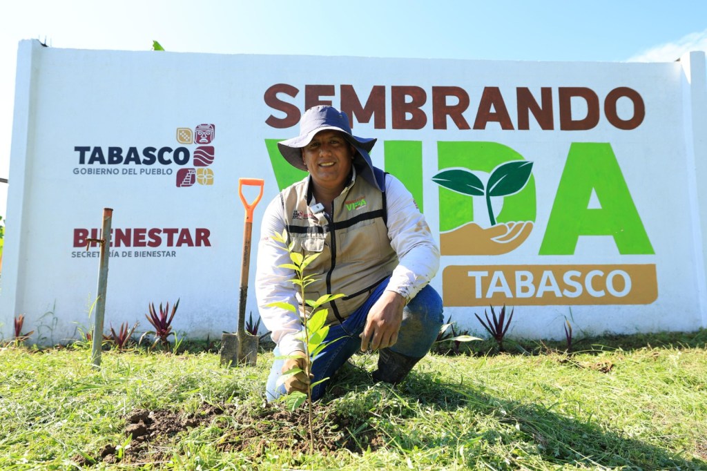 Técnicos de Sembrando Vida realizan demostración previa a la Jornada Estatal de Reforestación en&nbsp;Tabasco