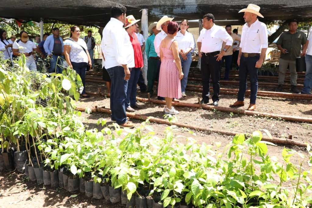 Sembrando Vida avanza en Balancán: comunidades rurales recuperan flora y generan&nbsp;desarrollo