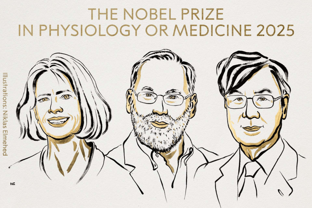 Dan Premio Nobel de Medicina 2025 a tres científicos por su trabajo sobre la tolerancia inmunológica&nbsp;periférica