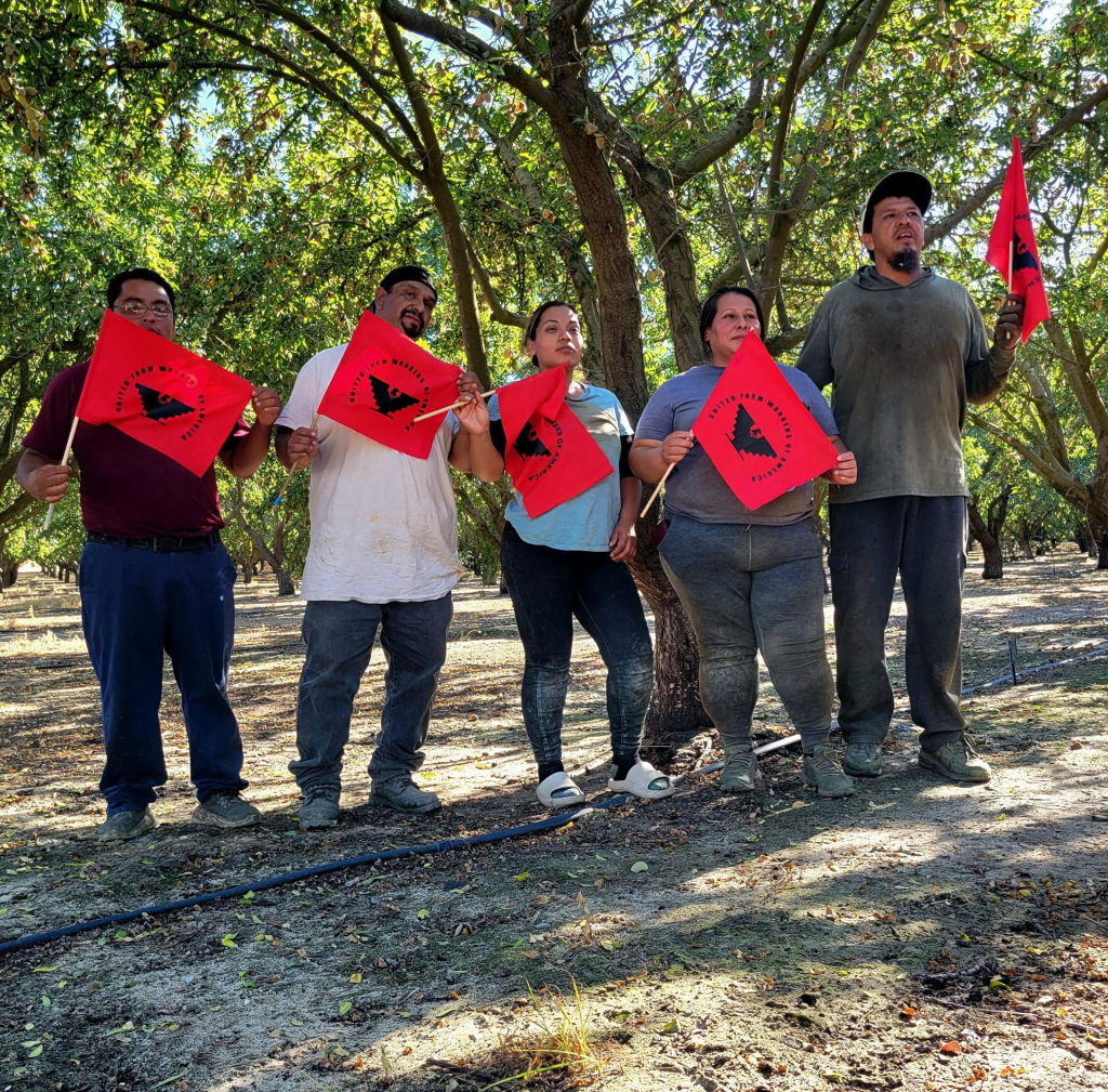 Pizcadores de tomate logran mejoras laborales en California pese a redadas&nbsp;migratorias