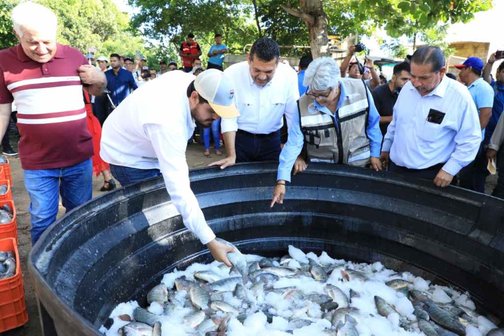 Histórica primera cosecha de tilapia del programa Pescando Vida: Tabasco avanza hacia la autosuficiencia&nbsp;alimentaria
