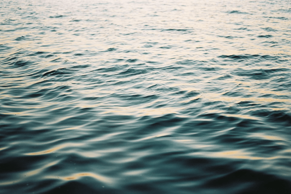 México ajusta entregas de agua del Río Bravo a EE.UU. conforme a disponibilidad&nbsp;hídrica