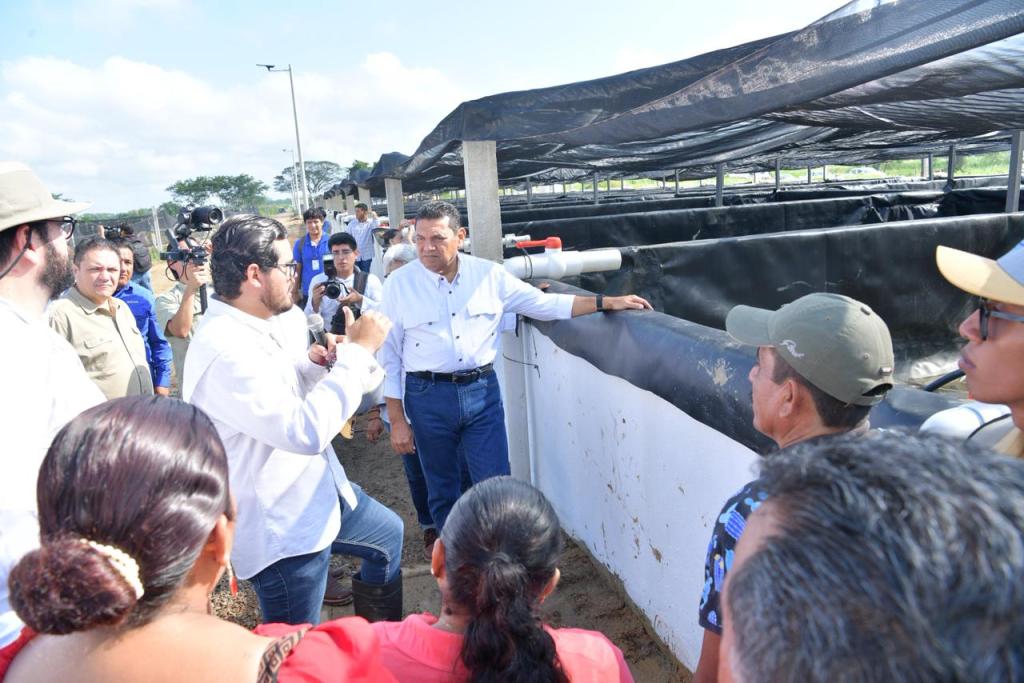 Gobierno de Tabasco reactiva la Piscifactoría ‘José Narciso Rovirosa’ en Teapa; producirá 12.5 millones de alevines&nbsp;anuales
