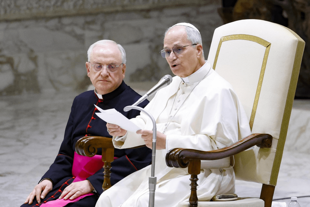 León XIV congrega a cardenales de todo el mundo para idear el futuro de la&nbsp;Iglesia