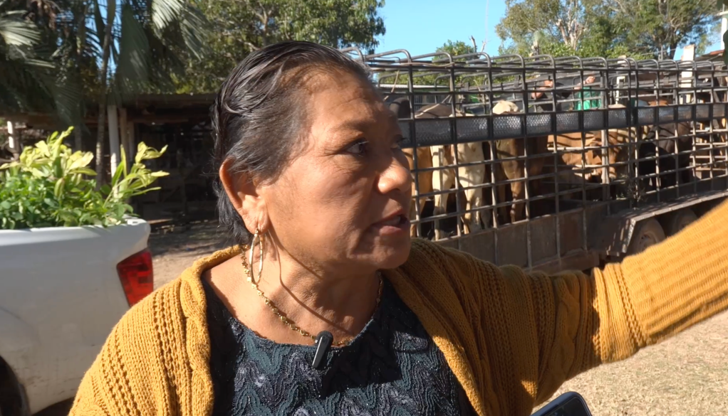 Crédito Ganadero a la Palabra fortalece al campo tabasqueño en Balancán y&nbsp;Tenosique