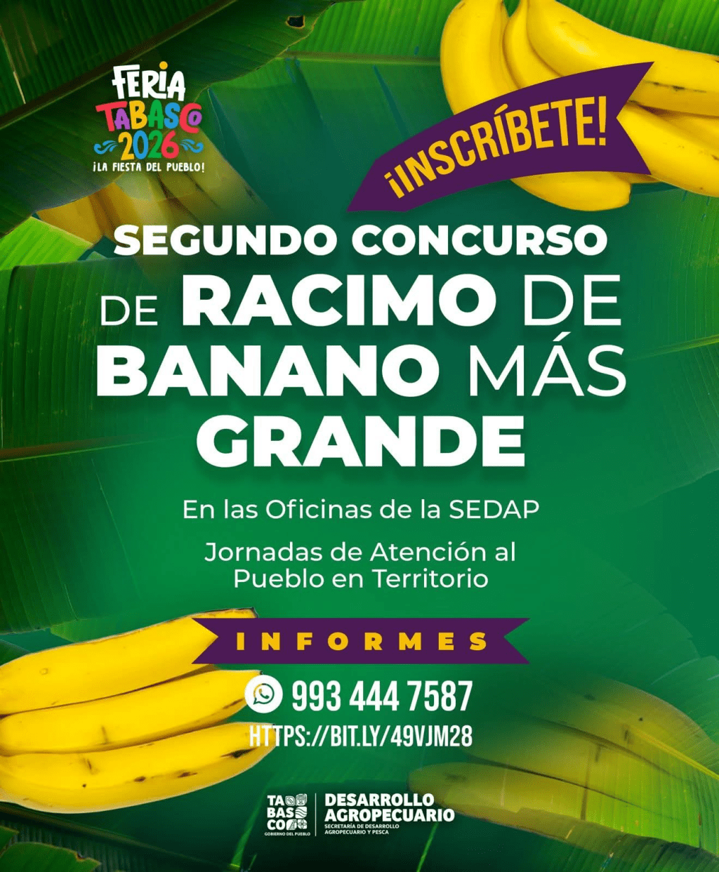 Feria Tabasco abre inscripciones para el Segundo Concurso del Racimo de Banano Más&nbsp;Grande