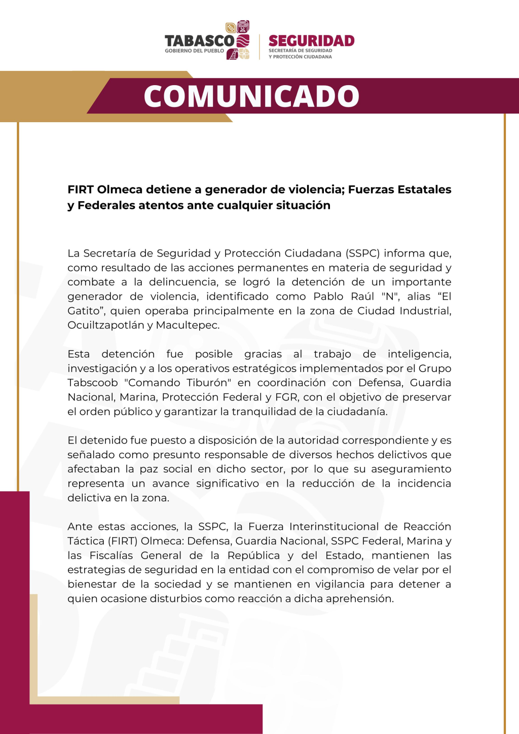 Cae «El Gato» supuesto líder criminal que operaba en&nbsp;Villahermosa