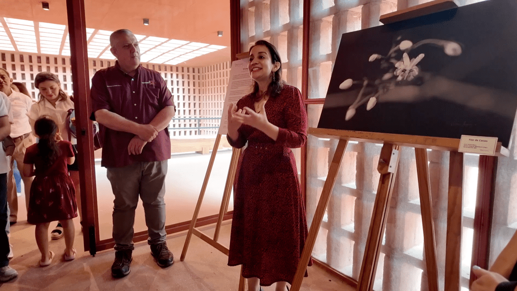 Invitan exposición fotográfica que rinde homenaje al cacao como símbolo de identidad tabasqueña