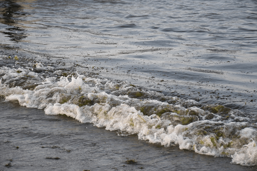 Derrame de hidrocarburo en el Golfo de México tiene tres fuentes, revela Secretaría de Marina: Un vertimiento ilegal y dos emanaciones naturales