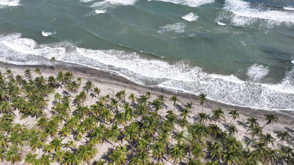 Garantizan calidad de productos y condiciones seguras en la Laguna Mecoacán rumbo a Semana Santa