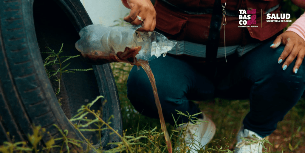 Exhortan a colaborar en acciones de fumigación contra el dengue en&nbsp;Tabasco