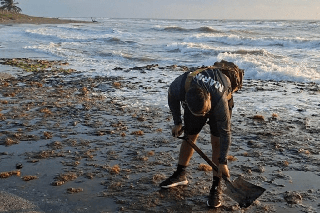 Sheinbaum anuncia creación de Observatorio del Golfo tras derrame de hidrocarburo