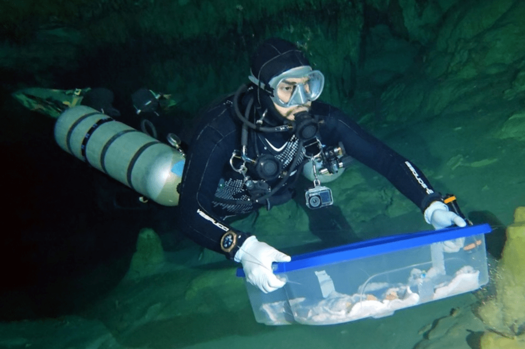 INAH traslada fósiles, recuperados en Quintana Roo, para estudios de antropología&nbsp;física