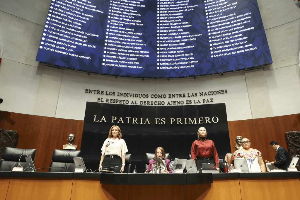Senado aprueba reforma que permite anular elecciones por intervención&nbsp;extranjera