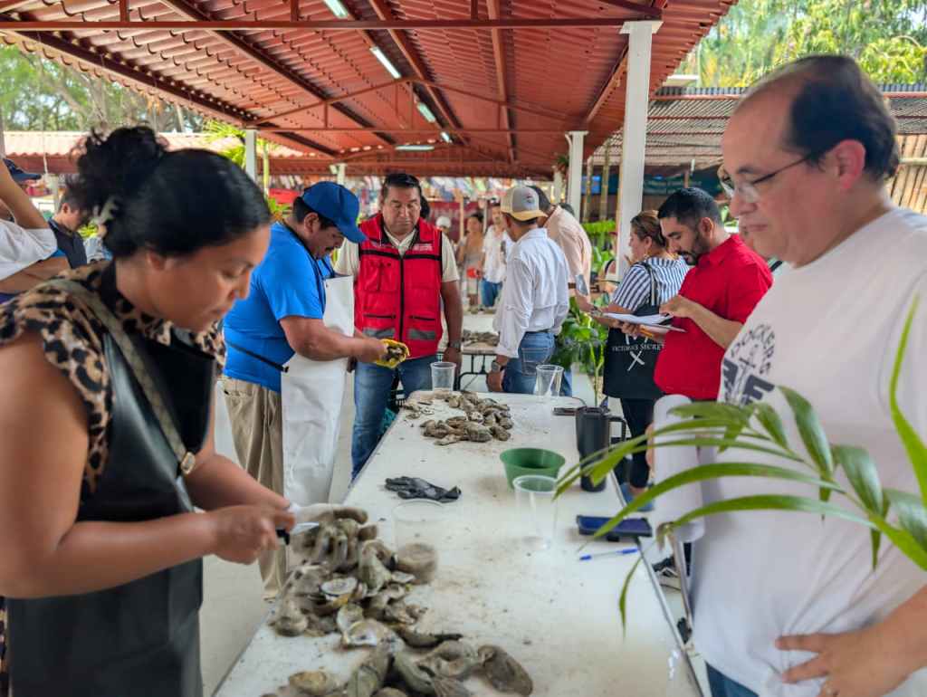 Realizan en la Feria Tabasco 2026 el Primer Concurso de Desconche de&nbsp;Ostión