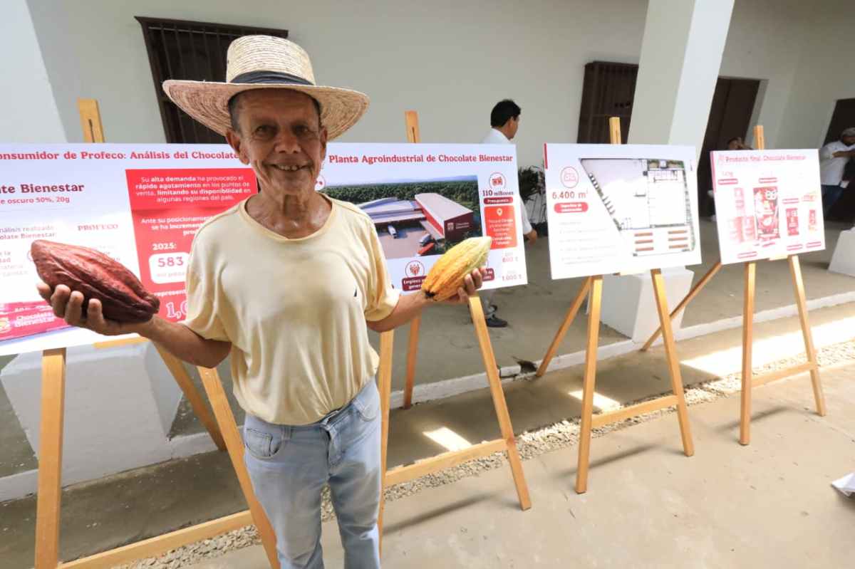 Claudia Sheinbaum y Javier May impulsan precio justo para el cacao tabasqueño y anuncian Fábrica de Chocolate&nbsp;Bienestar