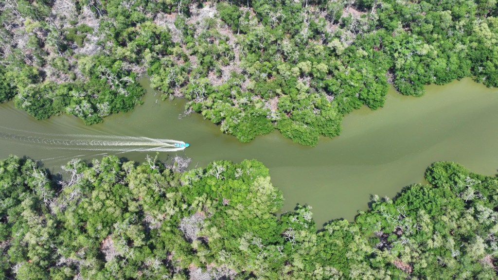 Declaran Área Natural Protegida a la Reserva Ecológica Cinco Lagunas en&nbsp;Comalcalco