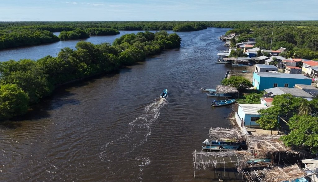 Pescando Vida impulsará cultivo tecnificado de ostión y mayores ingresos para productores de Cárdenas