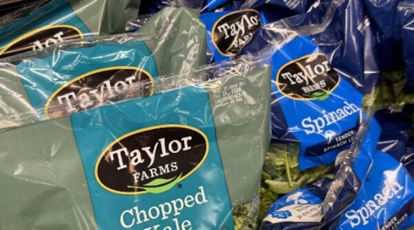 Salud descarta contaminación en lechugas de Taylor Farms México tras análisis de&nbsp;Cofepris