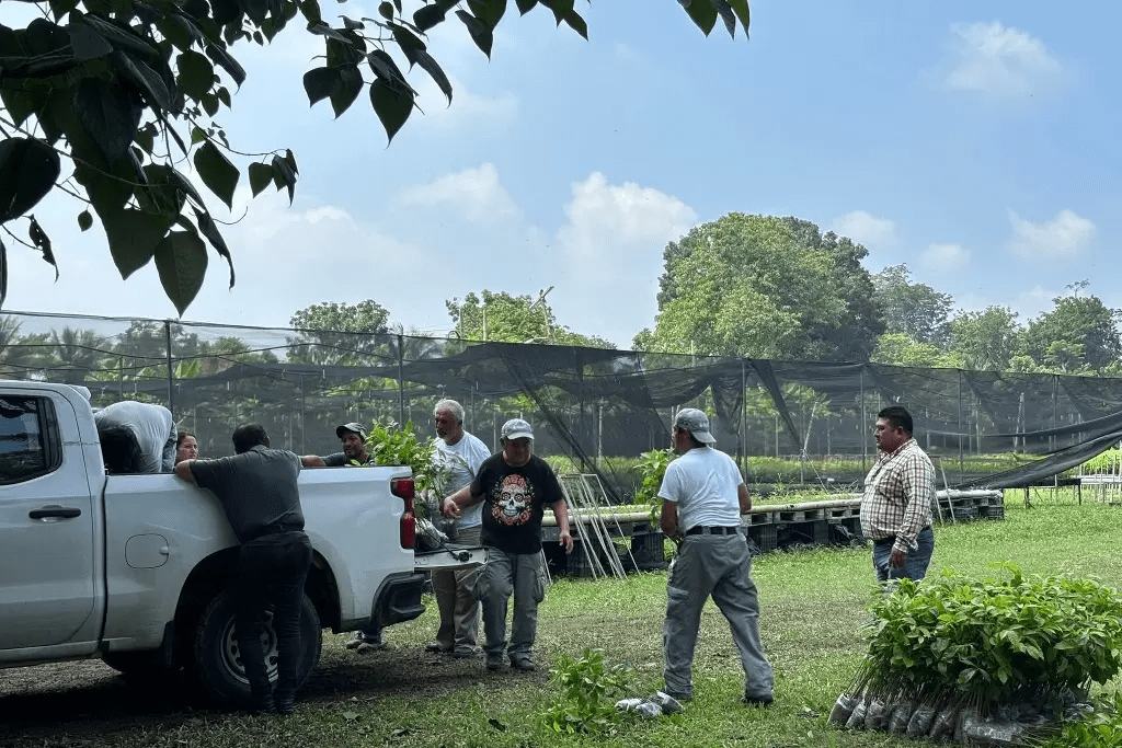 COMESFOR aportará 300 mil plantas para la Jornada de Reforestación en&nbsp;Tabasco