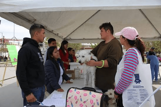 Brindan servicios gratuitos para el cuidado de mascotas en&nbsp;Jonuta