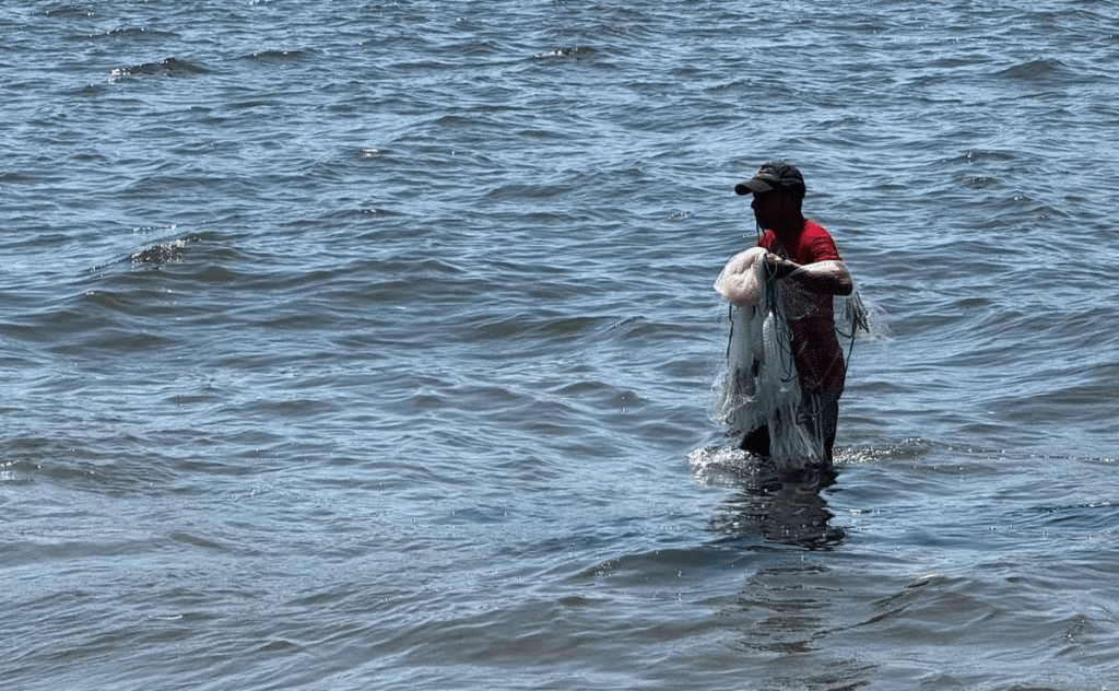 Pescadores de Veracruz denuncian que 30% de embarcaciones realizan pesca&nbsp;furtiva