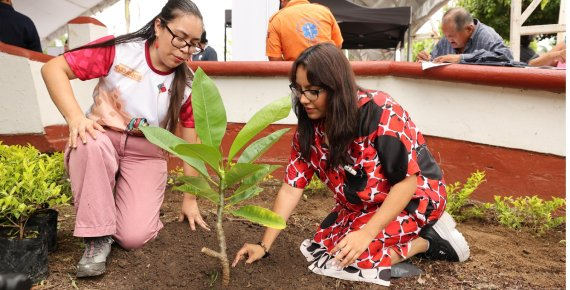 Tabasco se suma a la Jornada Nacional de Reforestación este domingo