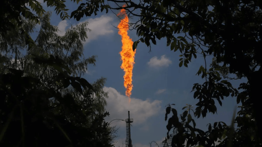 Olor a gas en Jalapa provino del Centro Procesador Agave, confirma Protección Civil