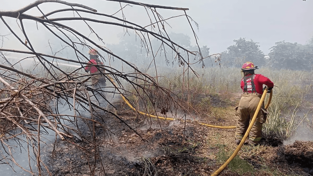 Lluvias en Tabasco ayudarán a reducir riesgo de incendios en Sierra, Chontalpa y Los&nbsp;Ríos