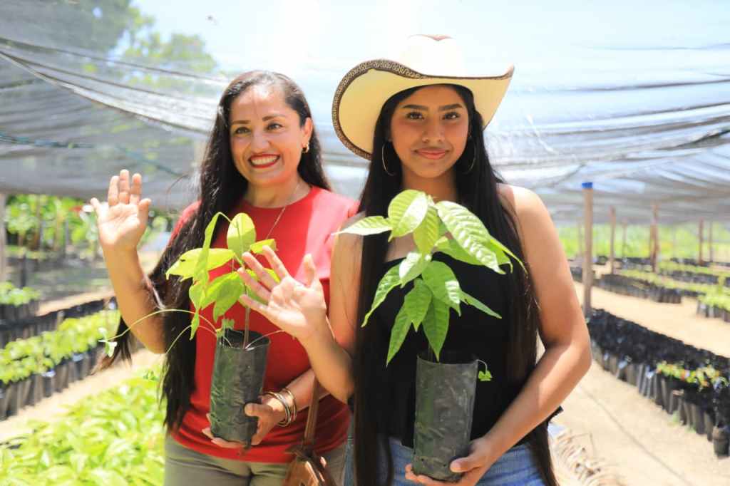 Comesfor aportará 300 mil plantas para la Segunda Jornada de Reforestación&nbsp;2026