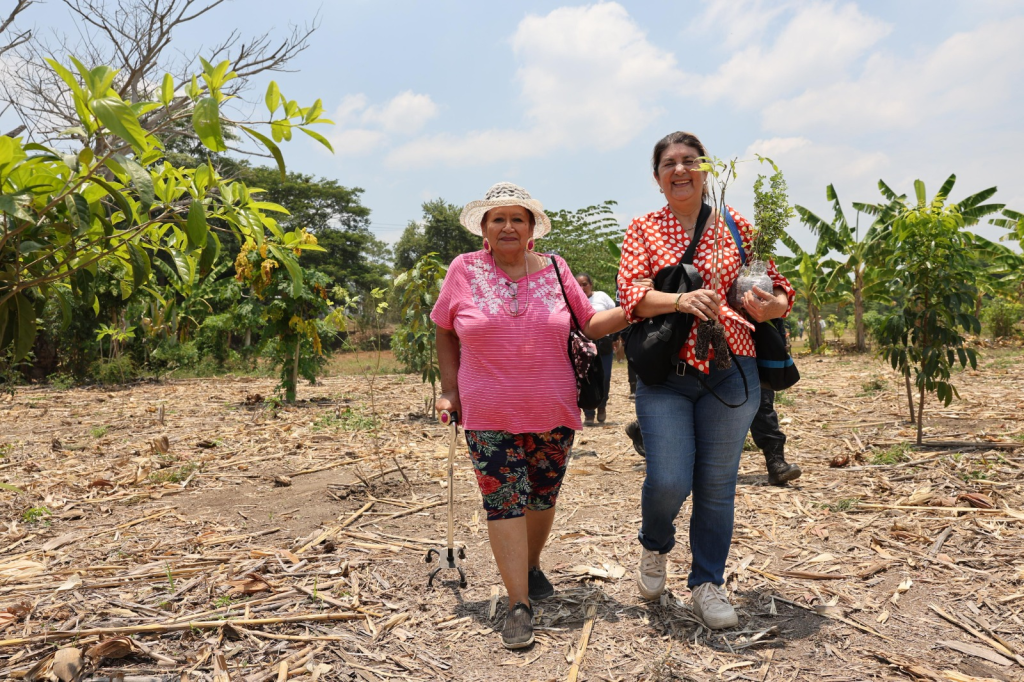 Miles de tabasqueños participan en Jornada Nacional de Reforestación y plantan más de 3 mil&nbsp;árboles