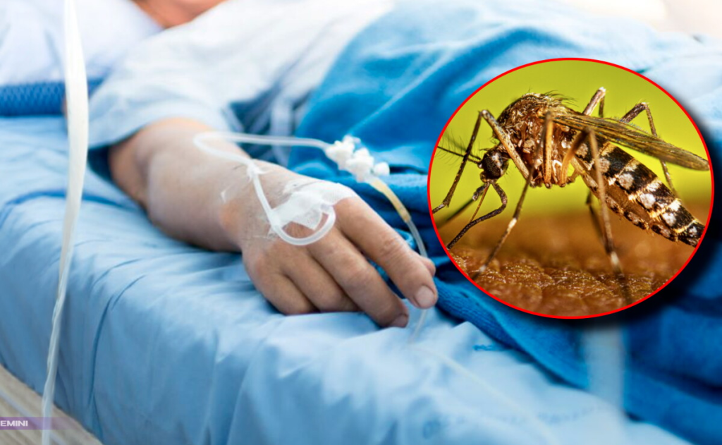 Tabasco acumula 546 casos de dengue y se mantiene entre los estados con mayor&nbsp;incidencia