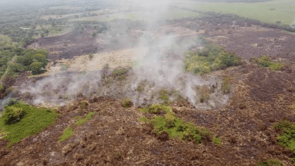 Incendio afecta dos hectáreas de palma de aceite en&nbsp;Jalapa