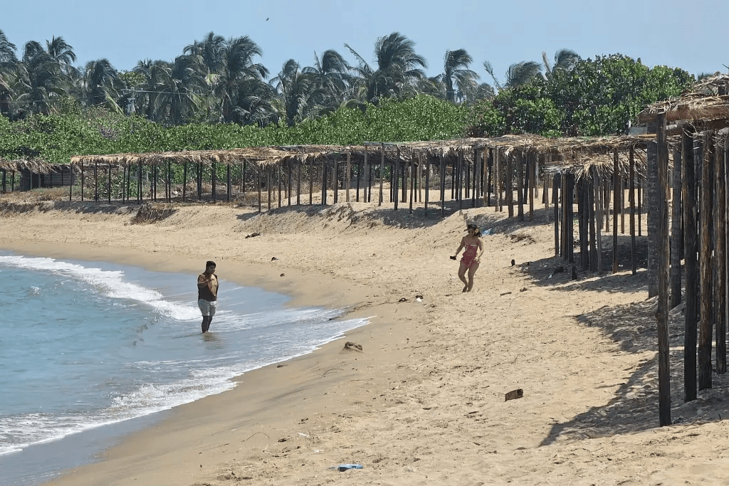 Se disparan los precios de terrenos en la zona costera de&nbsp;Tabasco