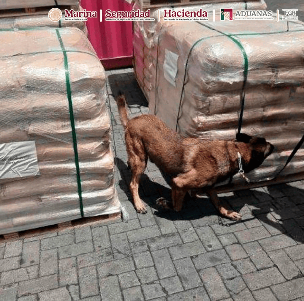 Inmovilizan más de 54 toneladas de dextrosa anhidra en Manzanillo