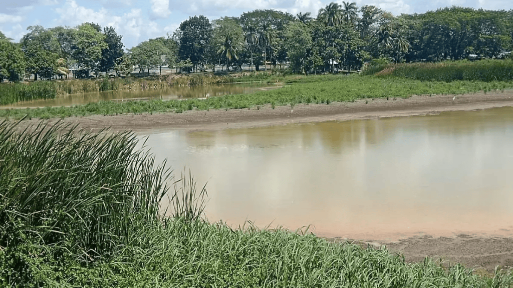 La Laguna La Encantada pierde agua y deja al descubierto&nbsp;residuos