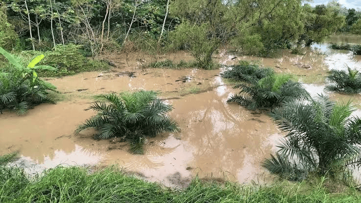 Habitantes de Tacotalpa denuncian abandono pese a inversión pública de 431 millones de&nbsp;pesos