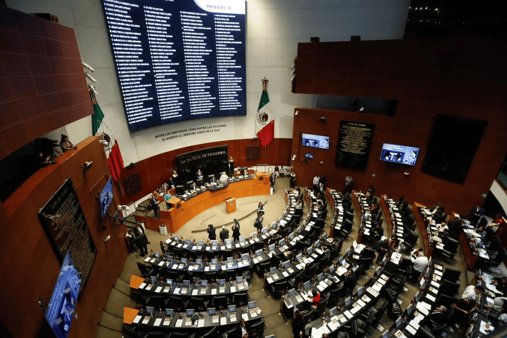 Morena prevé aprobar en el Senado reforma sobre doble nacionalidad para&nbsp;candidaturas