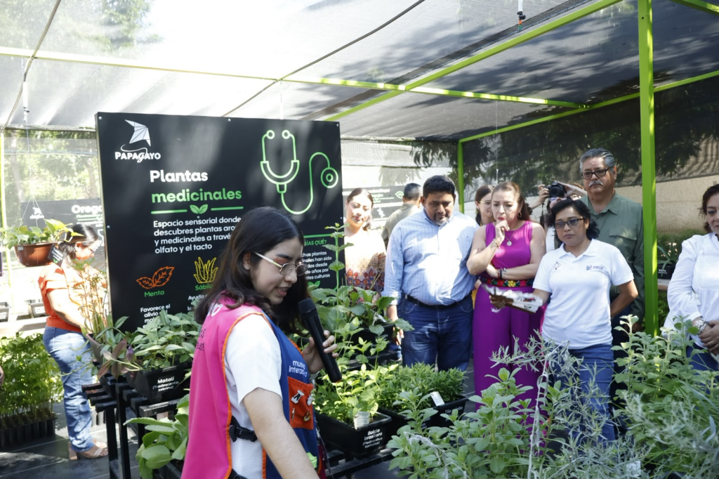 Museo Papagayo abre vivero para impulsar la educación&nbsp;ambiental
