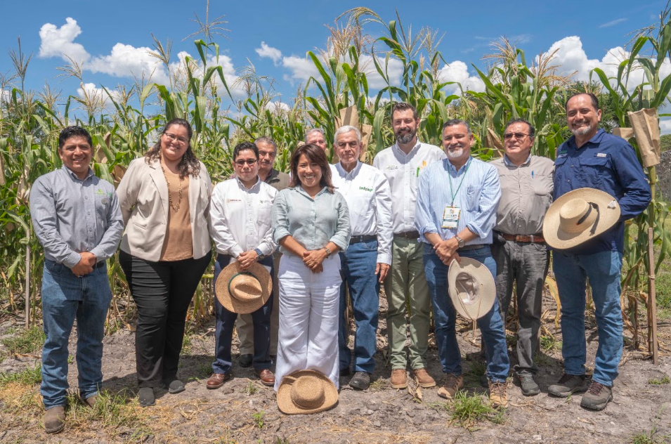 AGRICULTURA y CIMMYT fortalecen innovación para transformar los sistemas agroalimentarios