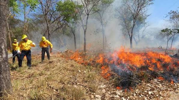 Tabasco reduce 90% las hectáreas afectadas por incendios forestales y agrícolas